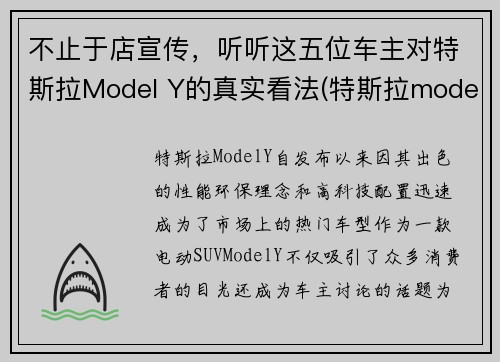 不止于店宣传，听听这五位车主对特斯拉Model Y的真实看法(特斯拉model y用车感受)