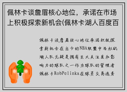 佩林卡谈詹眉核心地位，承诺在市场上积极探索新机会(佩林卡湖人百度百科)